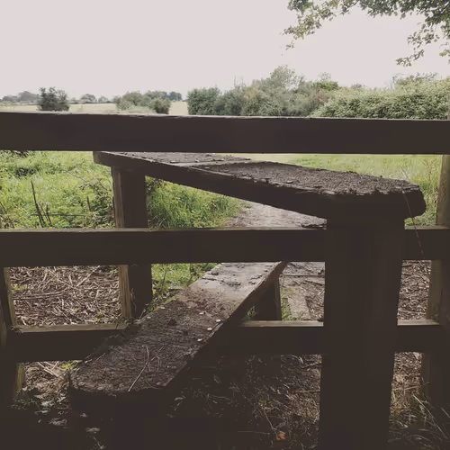 Item #105237010342582609876748436582366170093723610565651913513256945292980449705985 Media