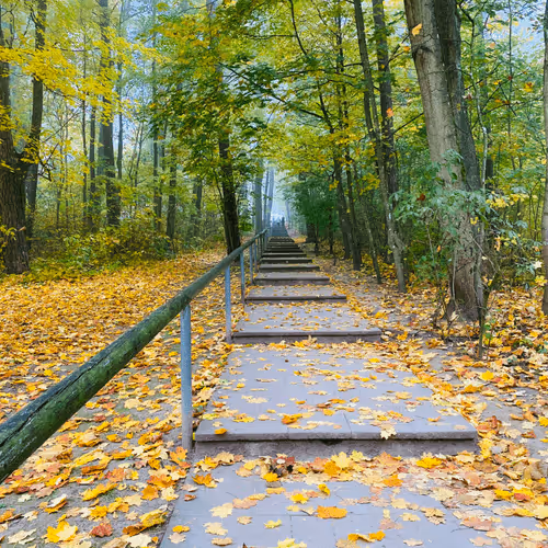 Untitled Collection #287291280 - old