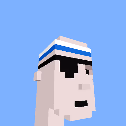 PunkVoxels #0410