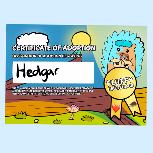 Fluffy Adoptions