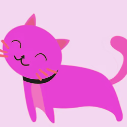 Cat_07
