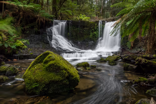 Item #11717075435639617062538583051799023982813876484308334407242089866790369755137 Media