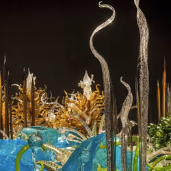 Chihuly Nights