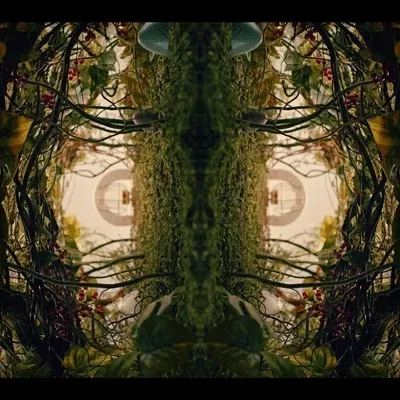 Item #54411499690937640101772425138653578544162397958311670010148906849985493991425 Media