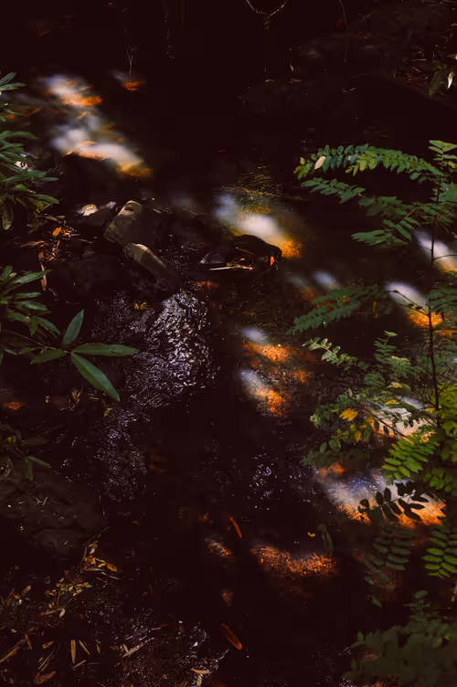 Item #19933179109955283826433224080904721000141254705246350990060094030726312230913 Media