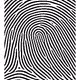3799515490220879732882333409938015140683167415382329987461811139828636450817