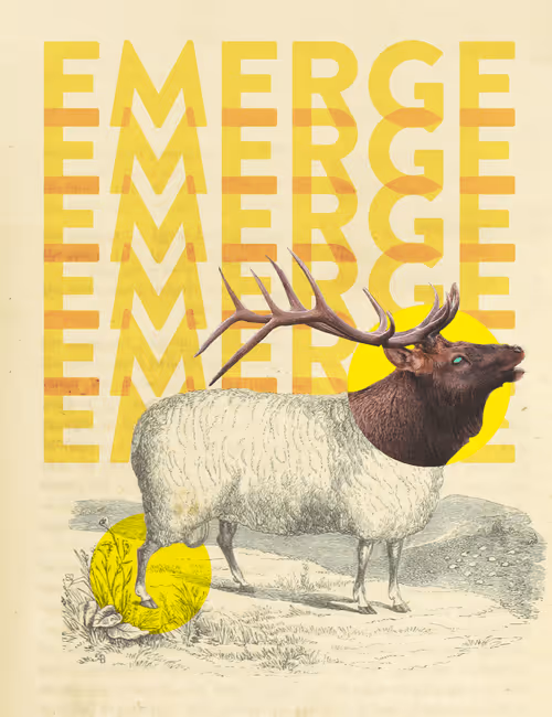 Item #38564597034361499404624058733000007751074283871891055372290281503280834019329 Media