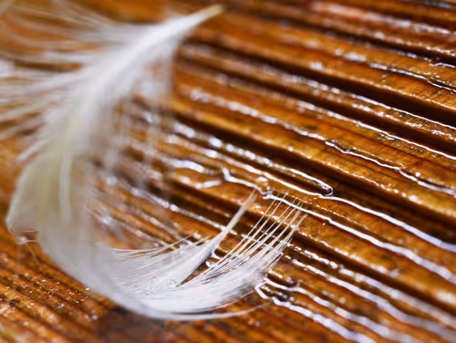 Item #92971587401879212914465603849674525645265351012255145539777938566322279415809 Media