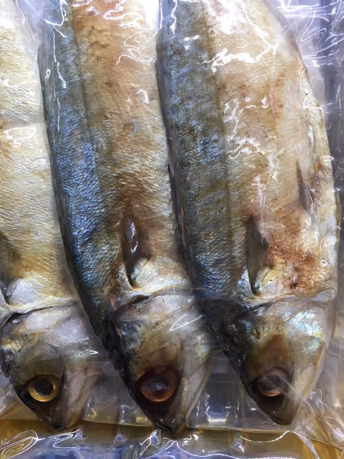 Item #96040857621548623282326574939458097993481777898920525483742573533999977725953 Media