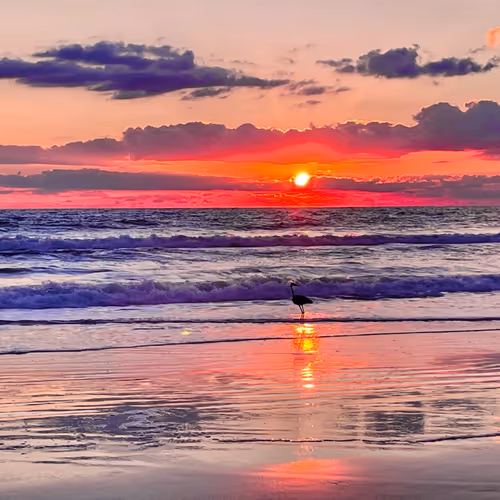Treasures From The Lens