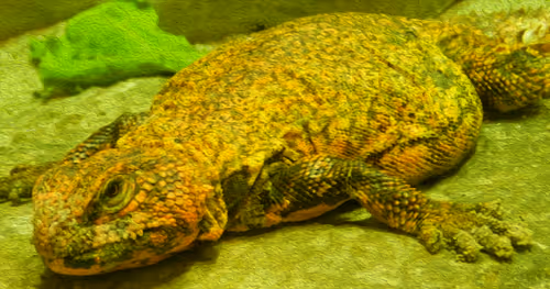 Item #95619151568614802974454947629602672965769746893472874508208249426384122806273 Media