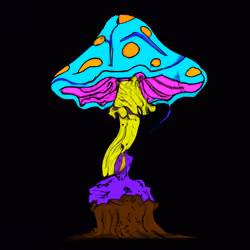 Toon Shroom