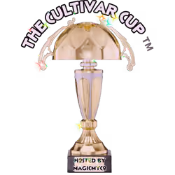 MycoGlitter Cup