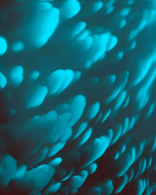 Item #20017967380901690084241553034656833281118552242077922707542247217654596108289 Media