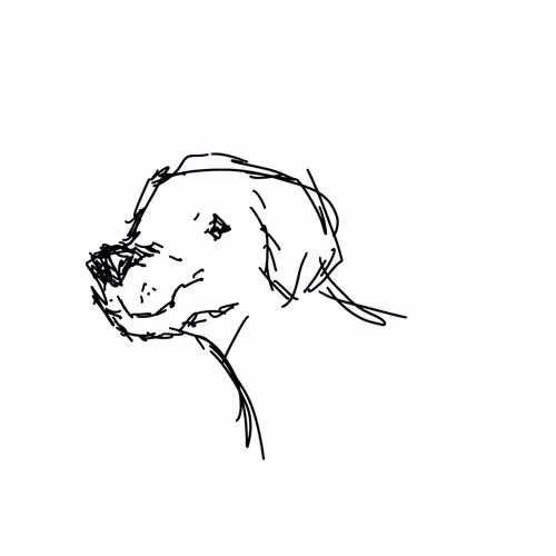 Sketches Chapter1