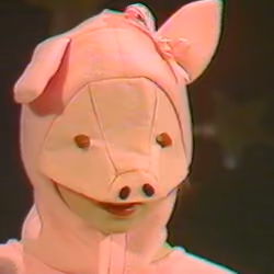 Porkface 