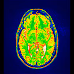 64162533542198579898252916190583583845604629893829087458582976487962854817793