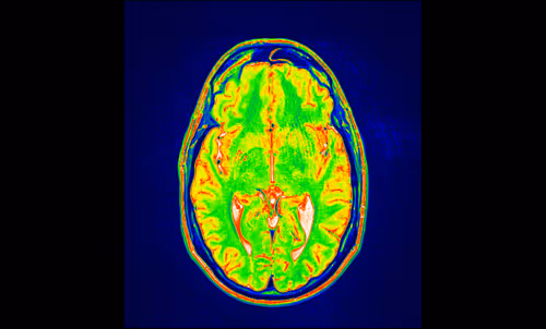 Item #64162533542198579898252916190583583845604629893829087458582976487962854817793 Media