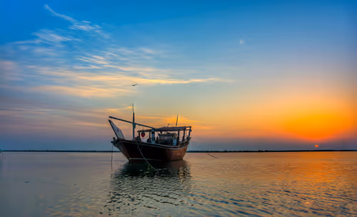 Item #82659361833004328141584002700570172314064346782117350339794085691509767667717 Media