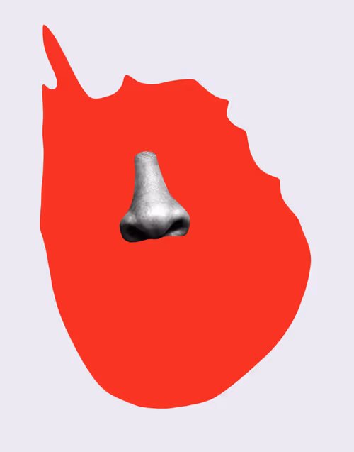 Item #94322073105437744661048811618381034051372425087831030471219036281407652495370 Media