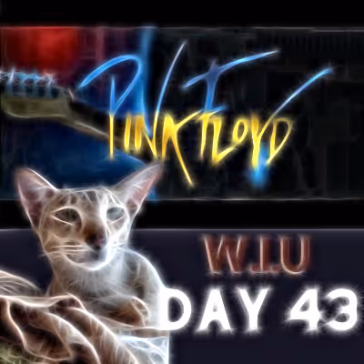 Item #39423832963151627607691891064013214374554670685362285359898062752487594524673 Media