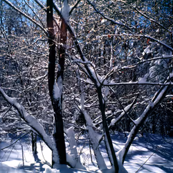 71165997854143450093372358757960361854753460918996014251035868668542654087169