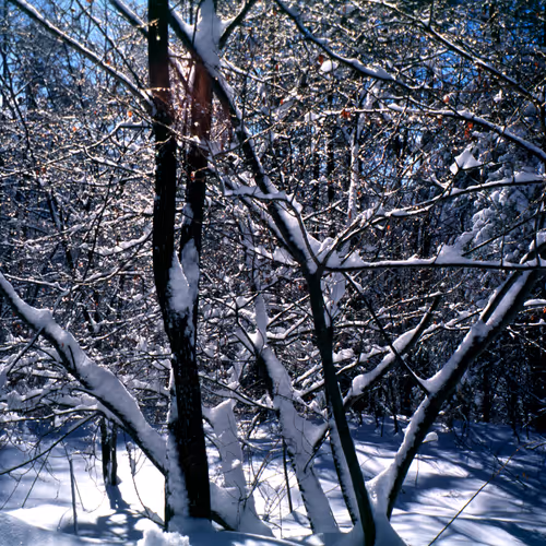 71165997854143450093372358757960361854753460918996014251035868668542654087169