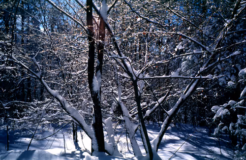 Item #71165997854143450093372358757960361854753460918996014251035868668542654087169 Media