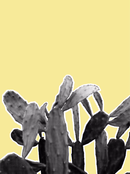 Item #25379124807980713745219244606437574046087384809022650852355167120317004906497 Media