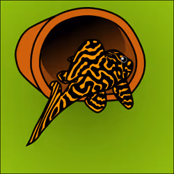 81664083123670143983968740139941474364733981378414170565535213258561925677057