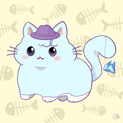 stephyyippy derivatives collection