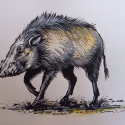 4288309145407295523431116215122397111529594114986911850026632790355713458376