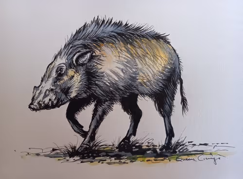 Item #4288309145407295523431116215122397111529594114986911850026632790355713458376 Media