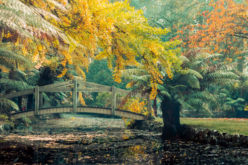 Item #4468298363639779410532789010720251327822800533817543307032898255923986825217 Media