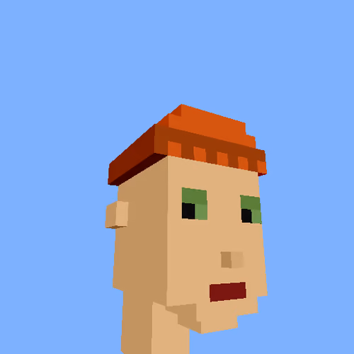 PunkVoxels #9967