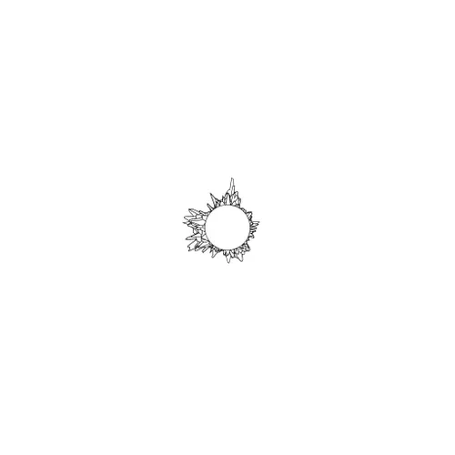 fork_mutated_concentric_circles