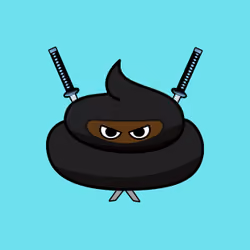Ninja shit