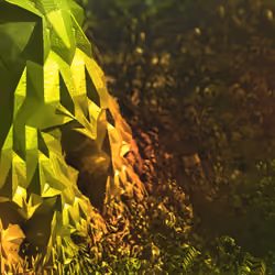 Fractal #2