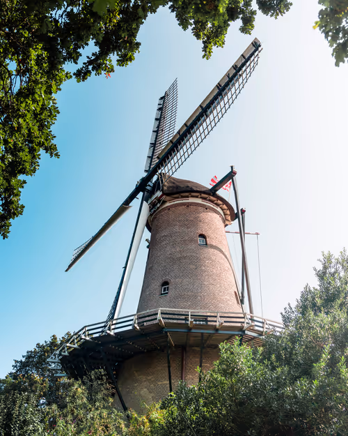 Item #3461261320663593426900354360876375017663922749216533272399435652123655667713 Media