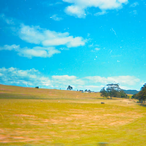 nu zealand rush