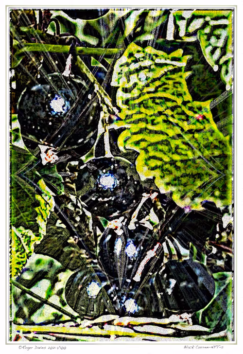 Item #6968899724388266606176016145545160509277227480062482001621938829401176146020 Media