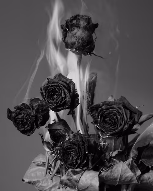 Item #49421393432894499121215694470303184244096795482679490930709574080458423009281 Media