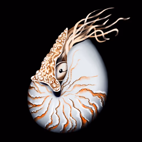 Item #72695523464753550601147126795501667149014001806411121621206157133857565966337 Media