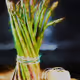 Still Life With Asparagus