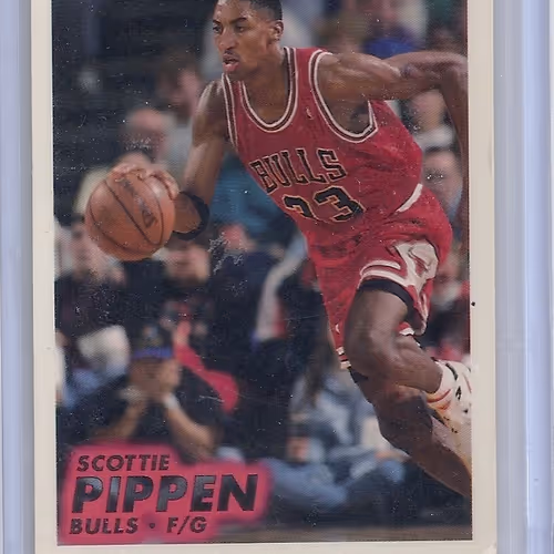Scotty Pippen Card