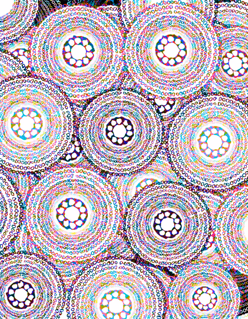 Item #2807211227970753094502405668608491016000177280909678085042862508698545160193 Media