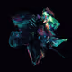 Illusory Dance