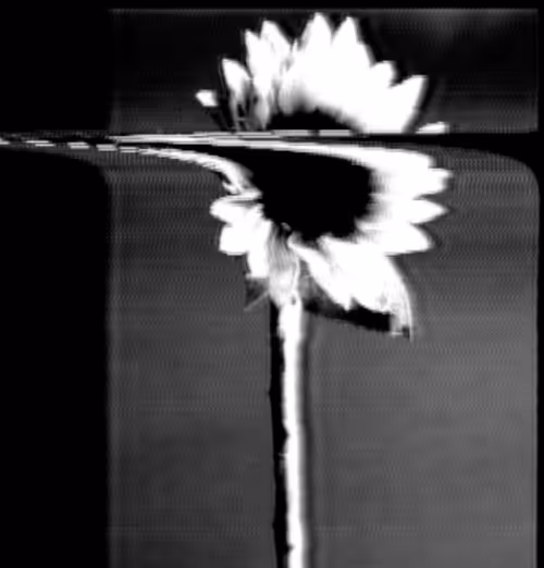 Item #6543125285758794139519418366552479585360659536622126303737985237682080448513 Media