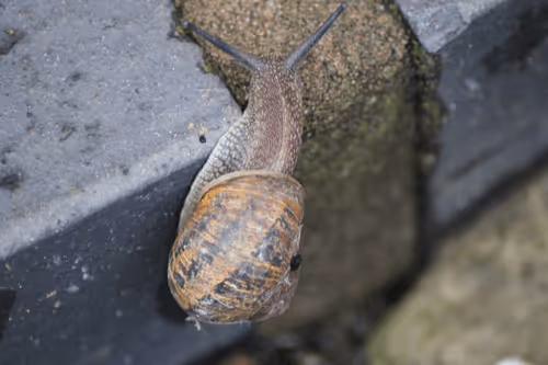 51124555051901614330264480006545612592022390906904121289505624555811655122945