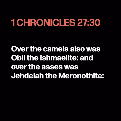 Item #22053356606985035317572807567829034573317121579682343289603645603501788102657 Media